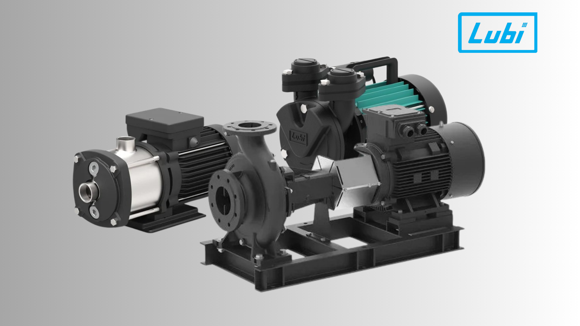 Lubi_pumps